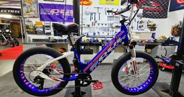 SoulFast Low Pro Review - High-speed electric chopper-style street bike.