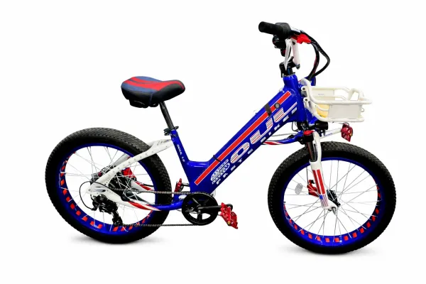 SoulFast Sonic: Side profile high-performance cruiser featuring a Bafang BBSHD mid-drive motor.